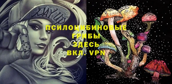 a pvp Дмитровск