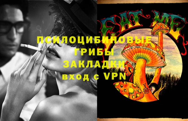 ГАЛЛЮЦИНОГЕННЫЕ ГРИБЫ Ельня