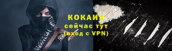 ГАЛЛЮЦИНОГЕННЫЕ ГРИБЫ Ельня