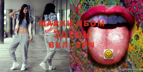 ГАЛЛЮЦИНОГЕННЫЕ ГРИБЫ Ельня
