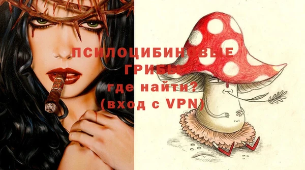 a pvp Дмитровск
