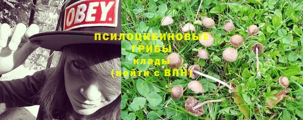 наркотики Елабуга