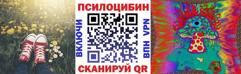 Галлюциногенные грибы Cubensis  Ельня 